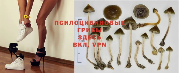 гидропоника Новодвинск