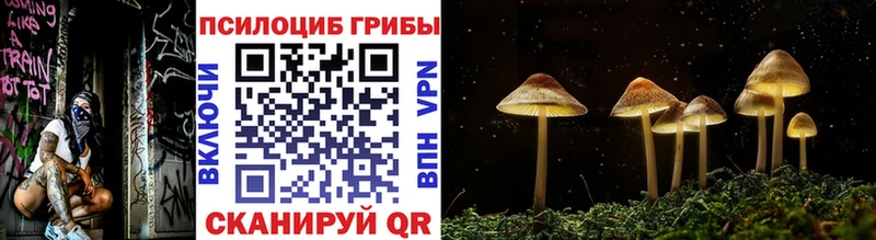 Псилоцибиновые грибы GOLDEN TEACHER  Купить закладки  Курганинск 